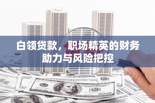 洪雅白领贷款,职场精英的财务助力与风险把控 洪雅白领贷款,职场精英的财务助力与风险把控